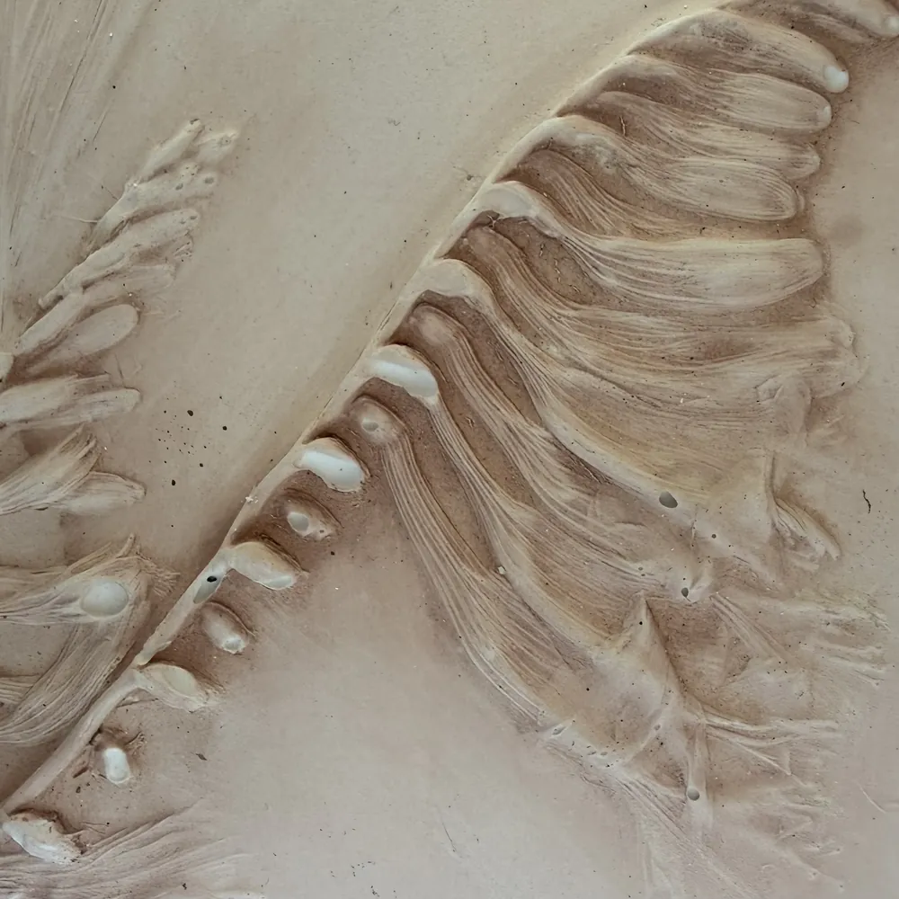 Plaster